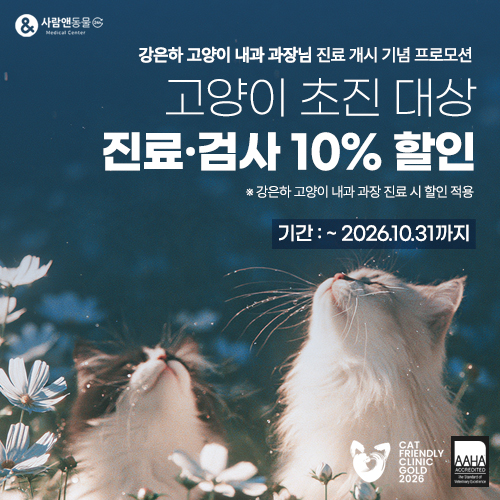강은하 고양이 내과 과장 초진 프로모션 
