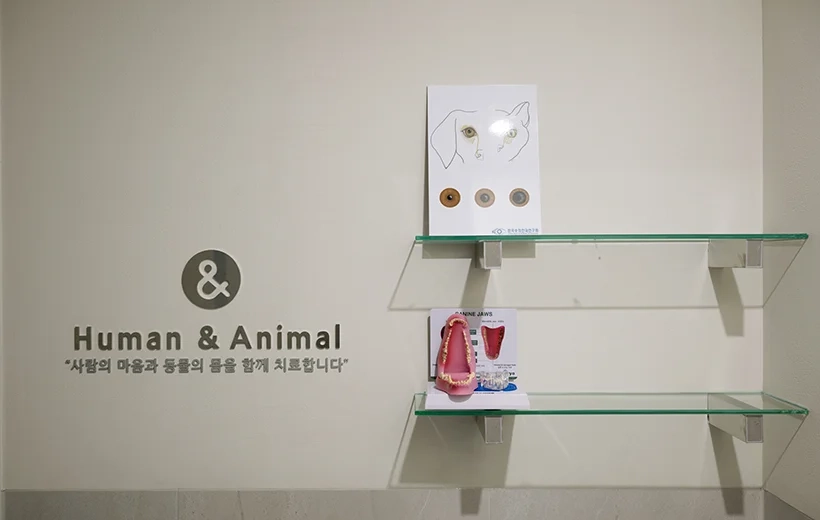 3층 진료실 3