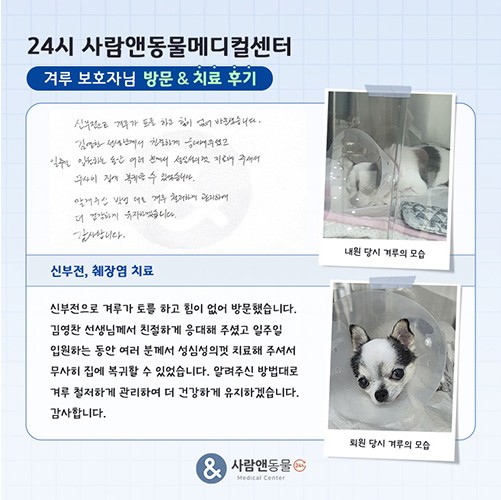 [신부전/췌장염] 겨루 보호자님의 소중한 치료 후기
