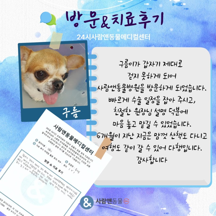 [후지파행] 구름이 보호자님의 소중한 치료 후기