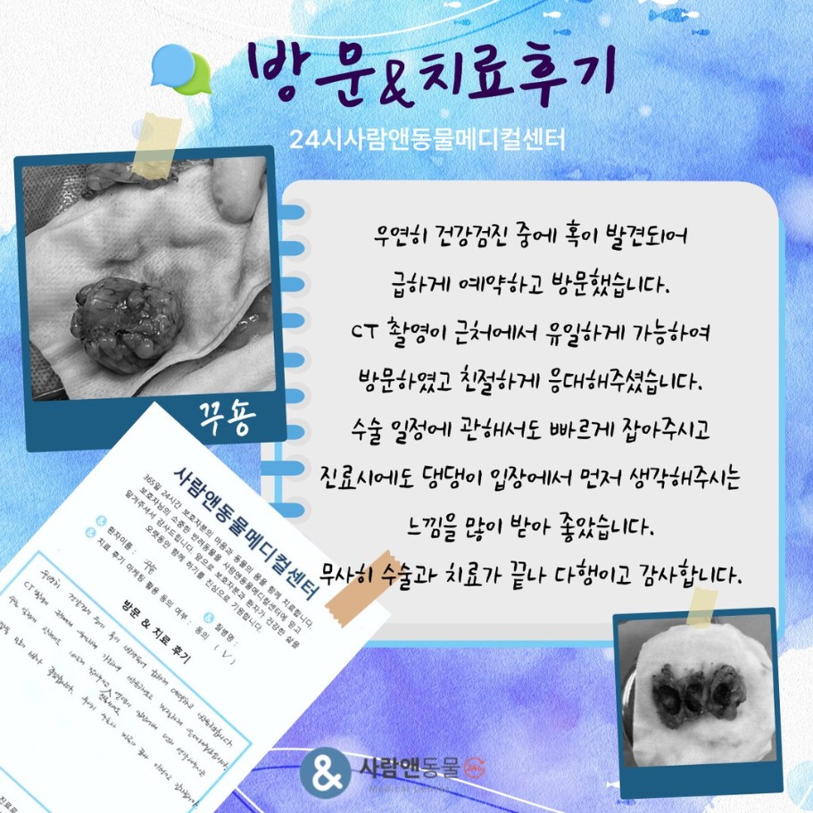 [복강 내 종괴] 꾸숑이 보호자님의 소중한 치료 후기