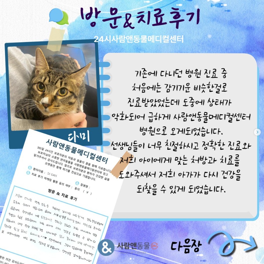 [농흉] 다미 보호자님의 소중한 치료 후기