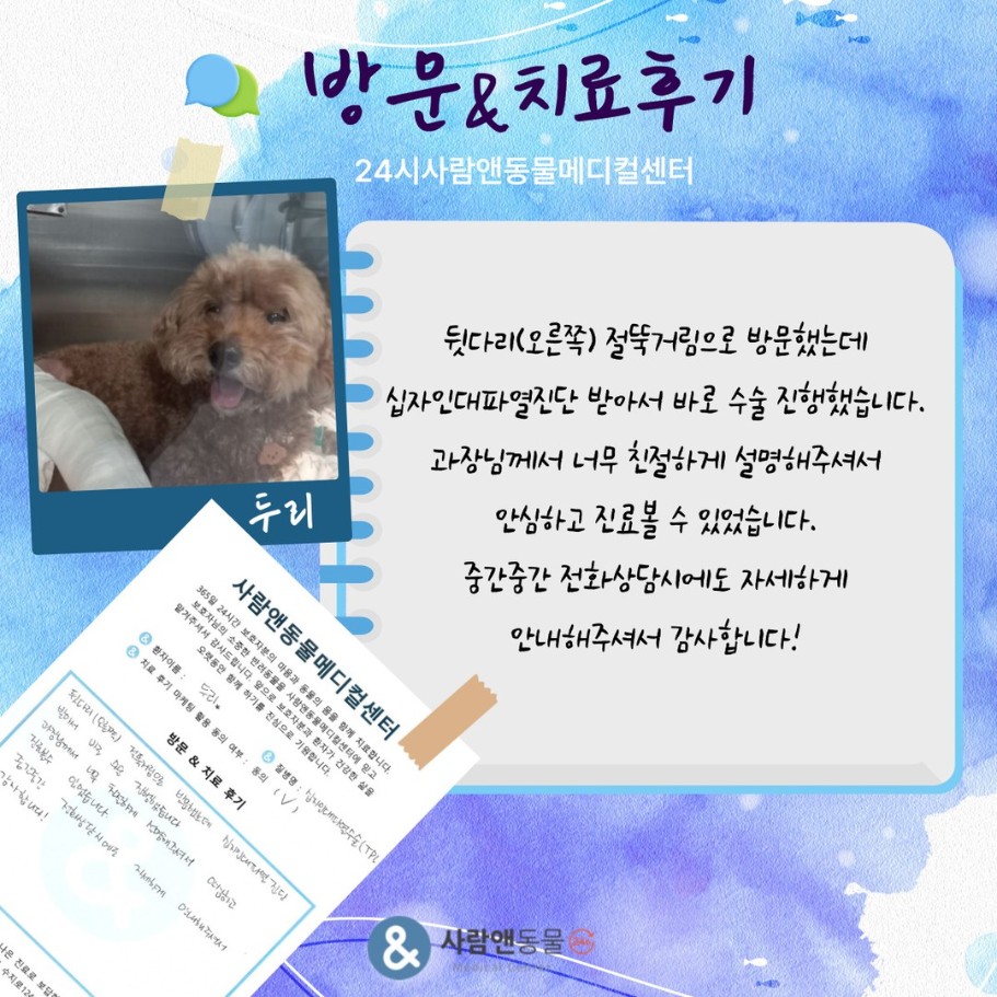 [십자인대파열] 두리 보호자님의 소중한 치료 후기