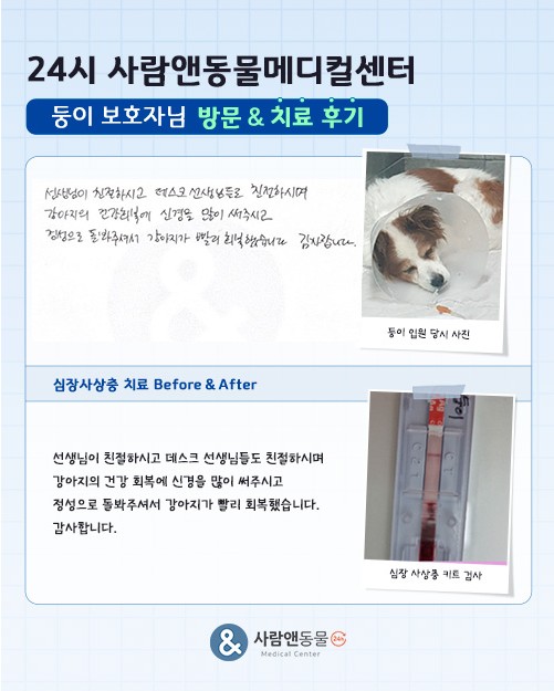 [심장사상충] 둥이 보호자님의 소중한 치료 후기