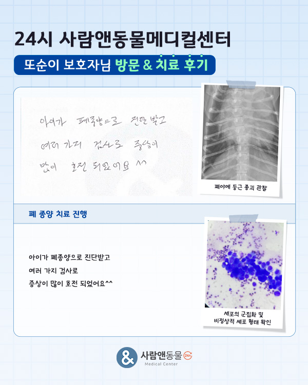 [폐종양] 또순이 보호자님의 소중한 치료 후기