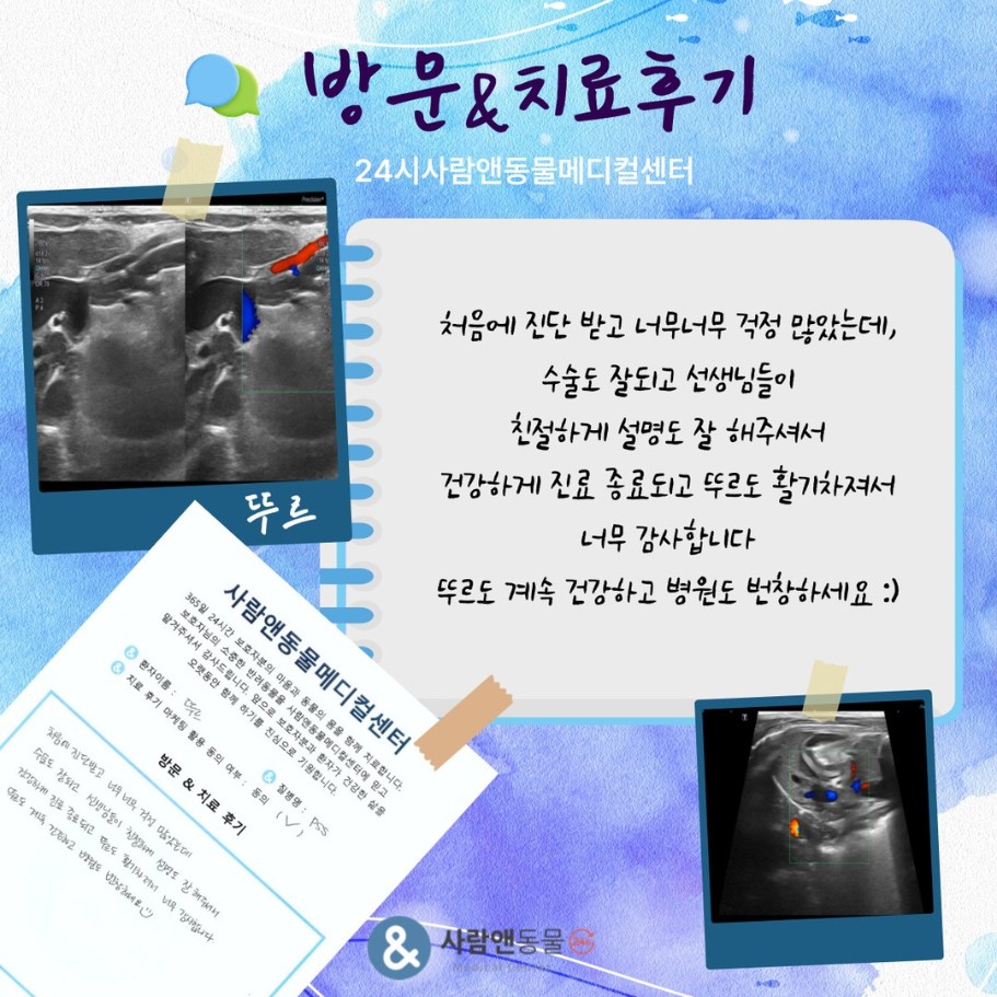 [PSS] 뚜르 보호자님의 소중한 치료 후기