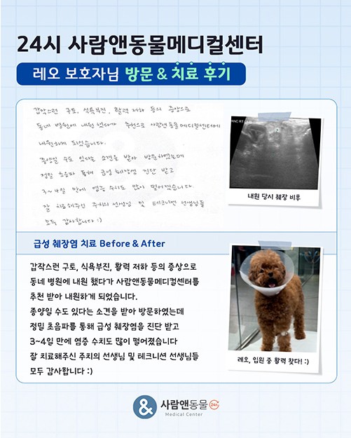 [급성 췌장염] 레오 보호자님의 소중한 치료 후기