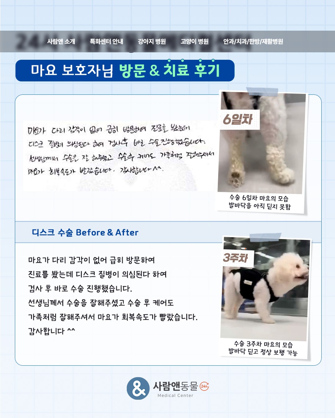 [디스크] 마요 보호자님의 소중한 치료 후기