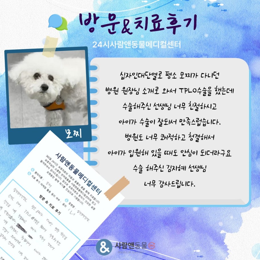 [십자인대파열] 모찌 보호자님의 소중한 치료 후기