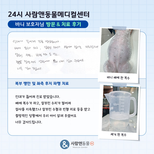 [복부팽만] 바니 보호자님의 소중한 치료 후기