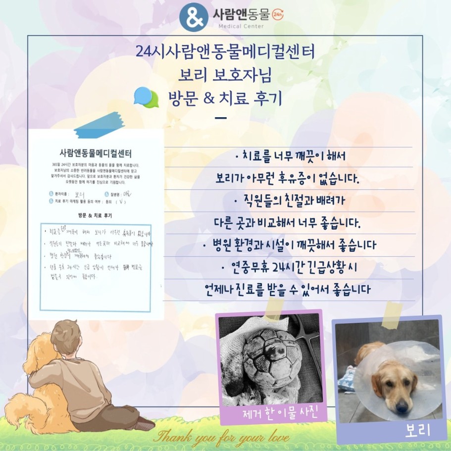 [위내이물] 보리 보호자님의 소중한 치료 후기