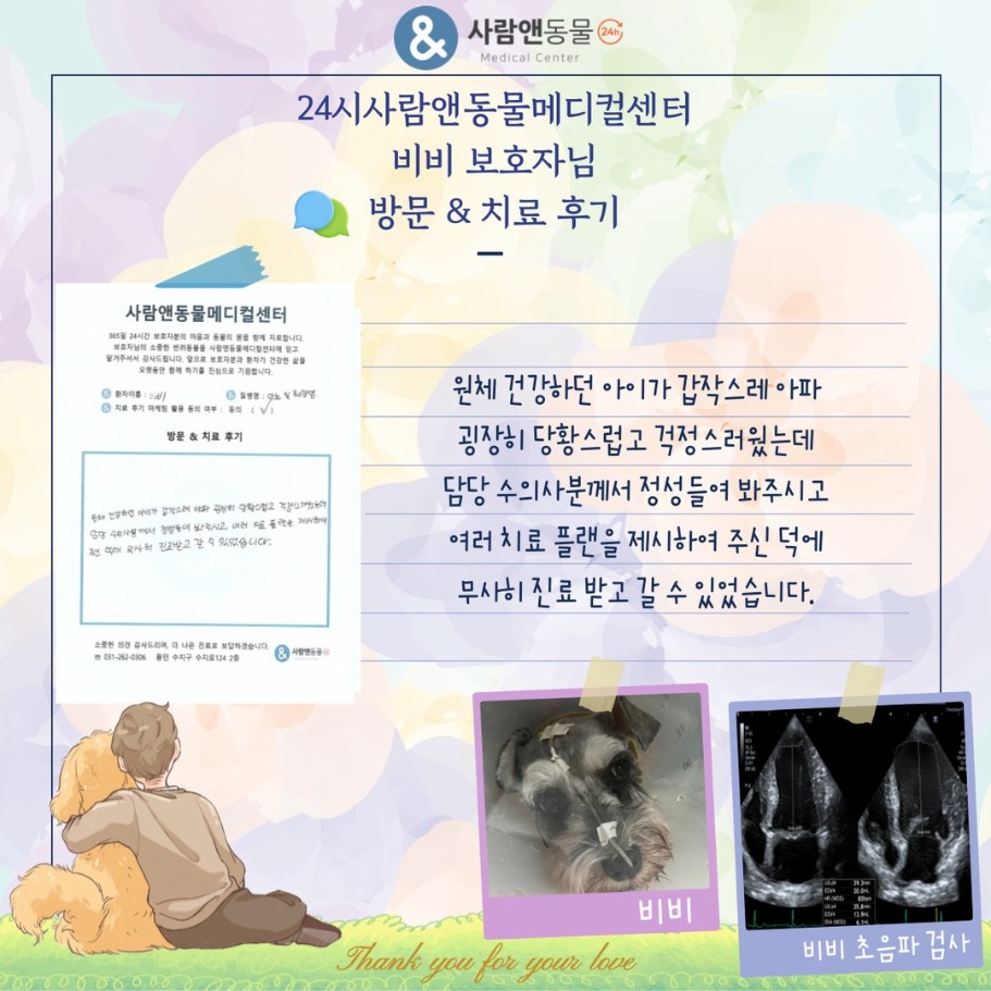 [당뇨] 비비 보호자님의 소중한 치료 후기