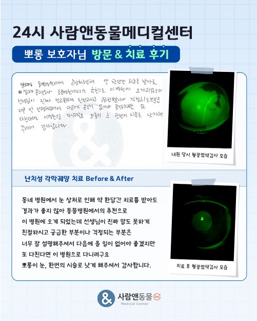 [난치성 각막궤양] 뽀롱이 보호자님의 소중한 치료 후기