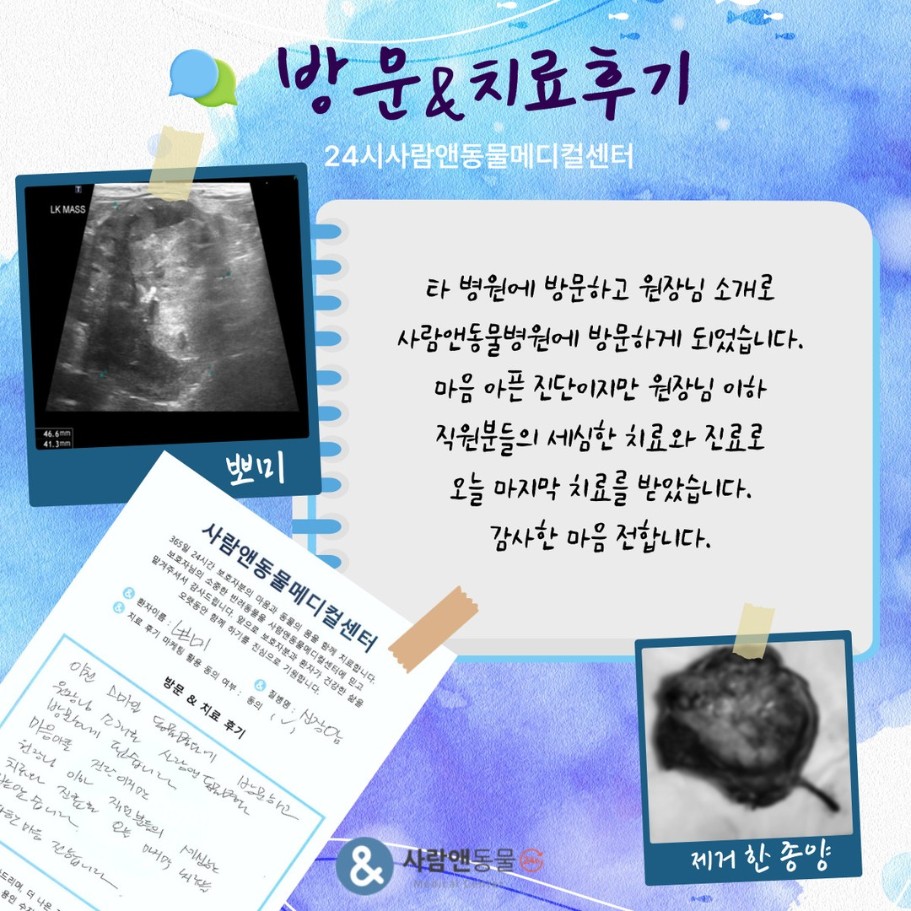 [신장종양] 뽀미 보호자님의 소중한 치료 후기