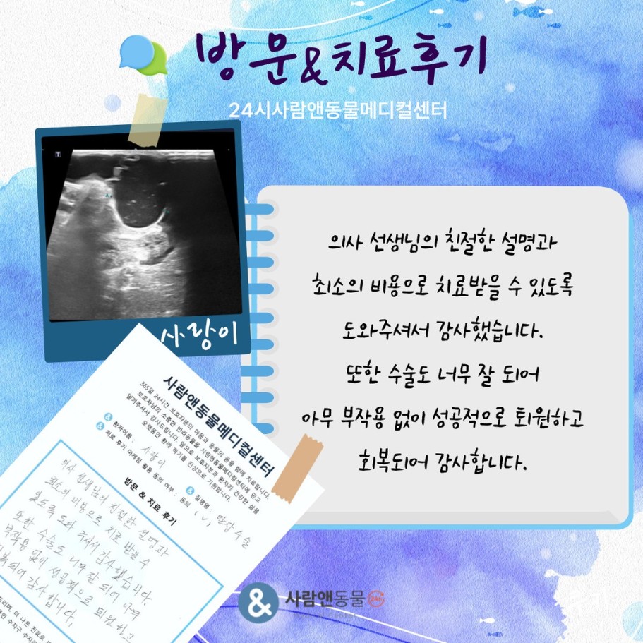 [탈장] 사랑이 보호자님의 소중한 치료 후기