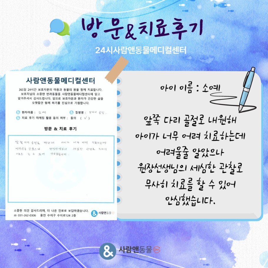 [앞다리 골절] 소예 보호자님의 소중한 치료 후기