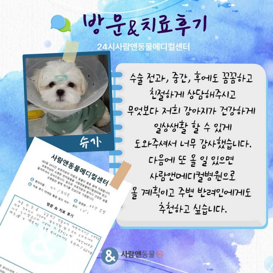 [낙상] 슈가 보호자님의 소중한 치료 후기