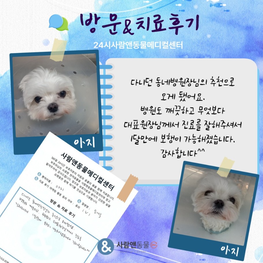 [슬개골탈구] 아지 보호자님의 소중한 치료 후기