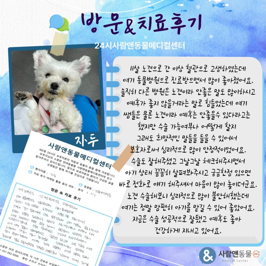 [PSS] 자두 보호자님의 소중한 치료 후기
