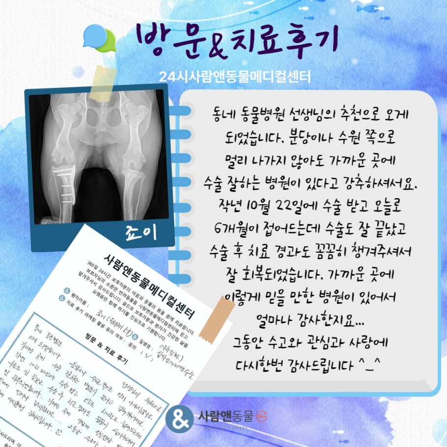 [십자인대파열] 죠이 보호자님의 소중한 치료 후기