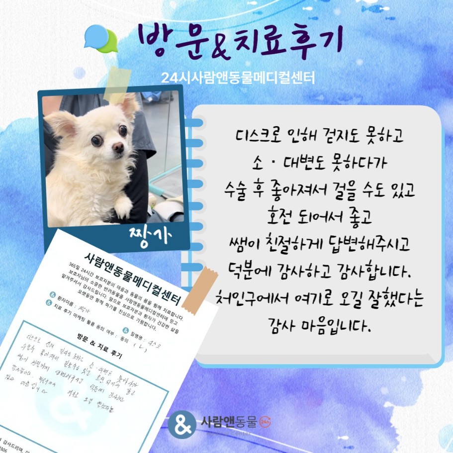 [디스크] 짱가 보호자님의 소중한 치료 후기