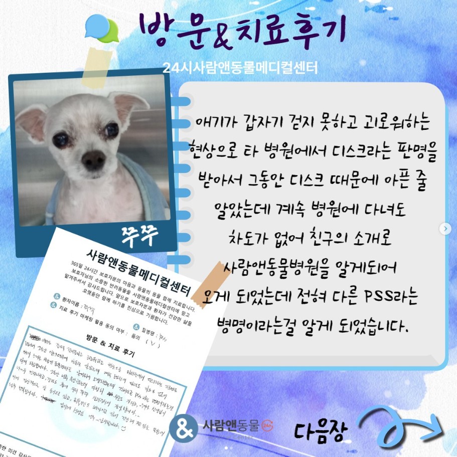 [PSS] 쭈쭈 보호자님의 소중한 치료 후기