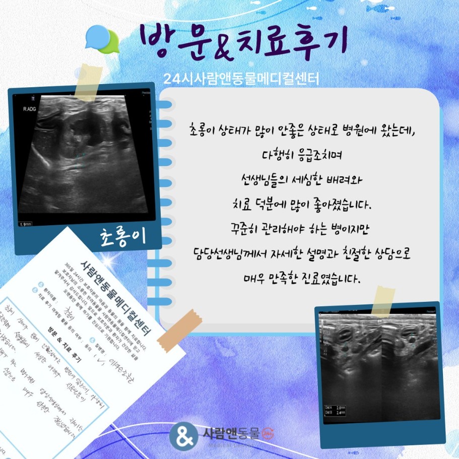 [부신피질기능저하증] 초롱이 보호자님의 소중한 치료 후기