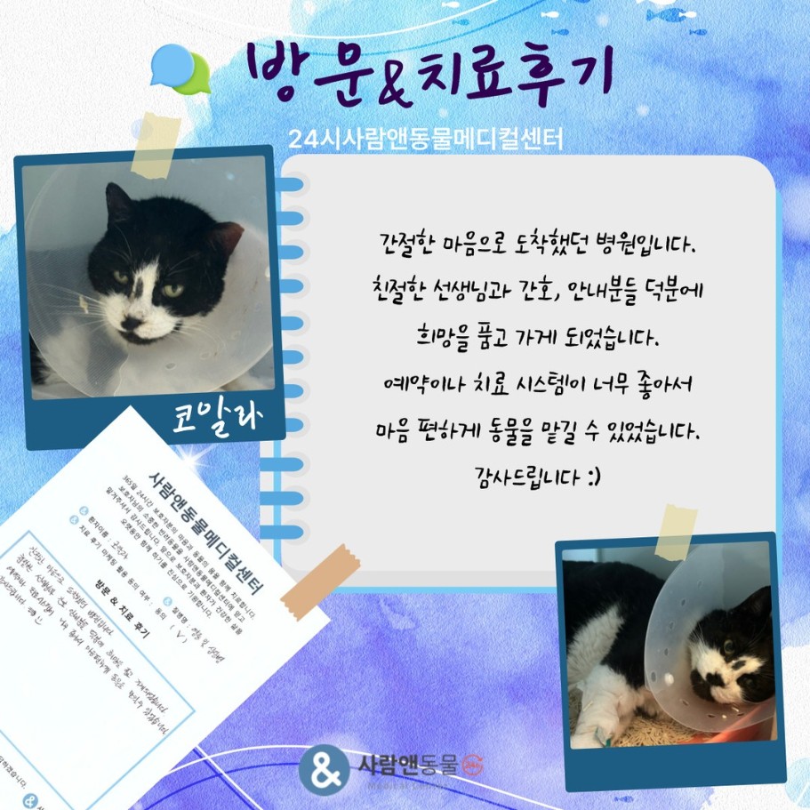 [심근병증] 코알라 보호자님의 소중한 치료 후기