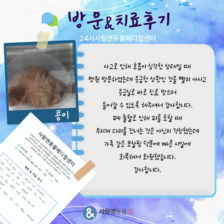 [폐출혈] 콩이 보호자님의 소중한 치료 후기