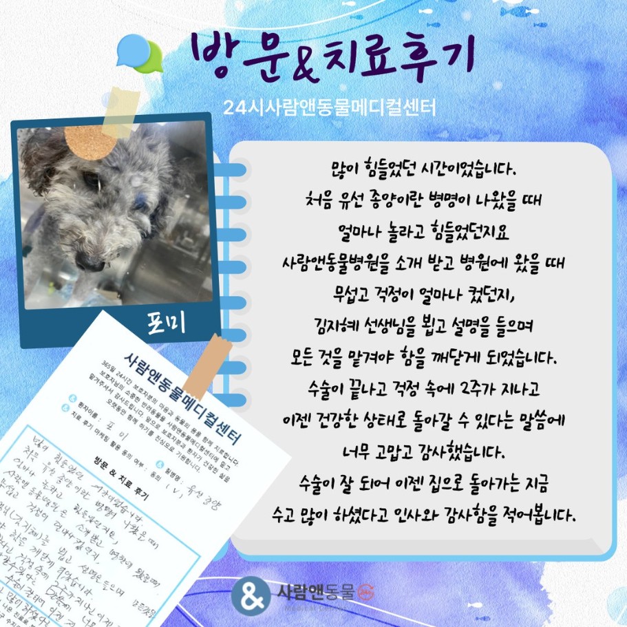[유선종양] 포미 보호자님의 소중한 치료 후기
