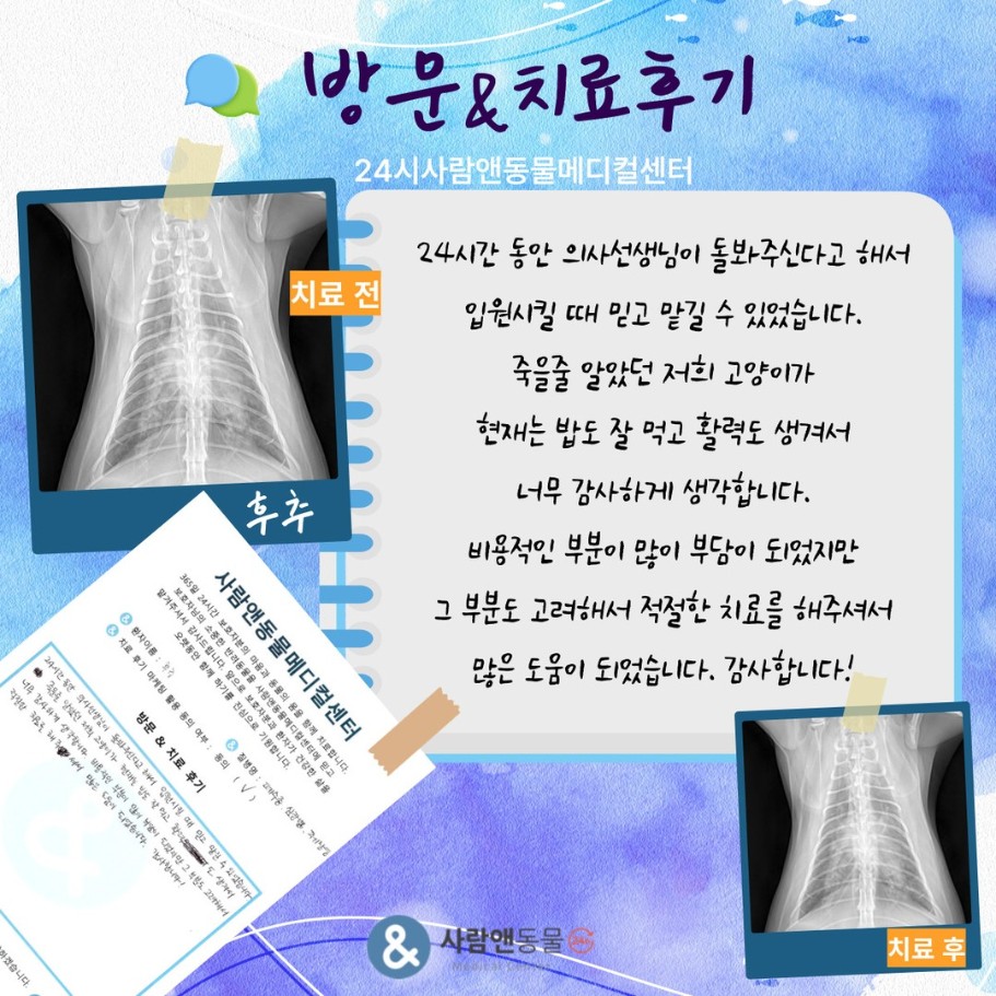 [폐수종] 후추 보호자님의 소중한 치료 후기