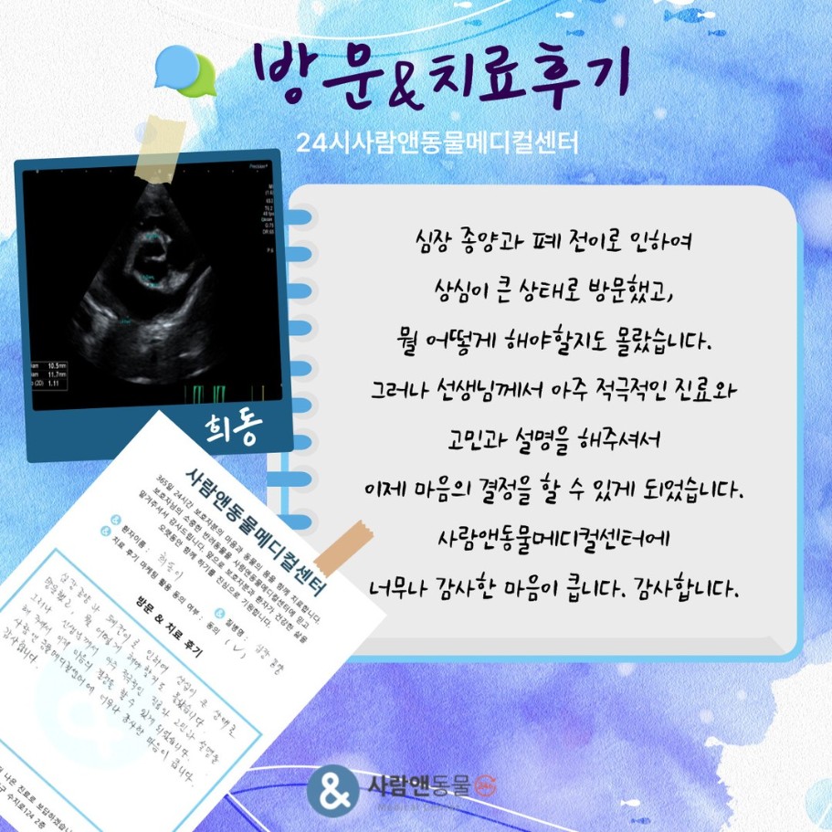 [혈관육종] 희동이 보호자님의 소중한 치료 후기